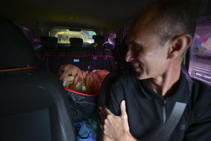 AFP (Referencial) - Brasil aprueba ley que regula la custodia de mascotas tras una separación: así funcionará