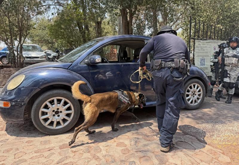 AFP - Autoridades investigan inusual asesinato de dos adultos y dos menores en Ciudad de México