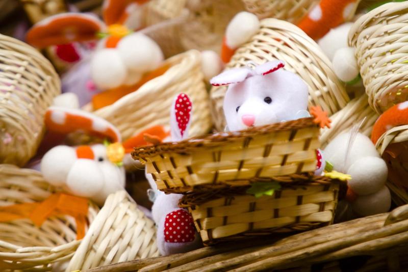 Huevitos de chocolate y mascotas: el dulce peligro que puede terminar en urgencia veterinaria - Agencia Uno