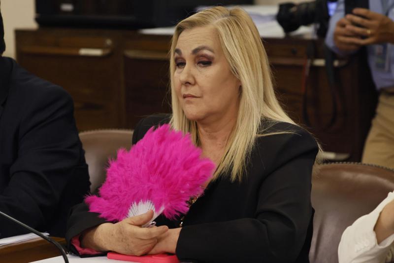 Aton- Diputada Pamela Jiles (PDG)