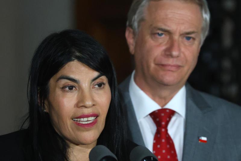 ATON- Rector de la UACh aseguró que agresión a Lincolao es "una mancha horrible" para la universidad