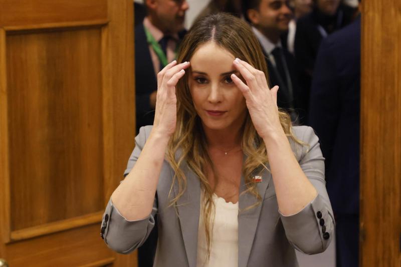 ATON- Sedini en el Congreso