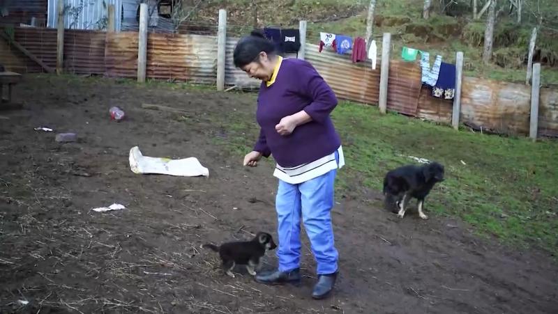 Caso Julia Chuñil: Revelan audios inéditos - T13