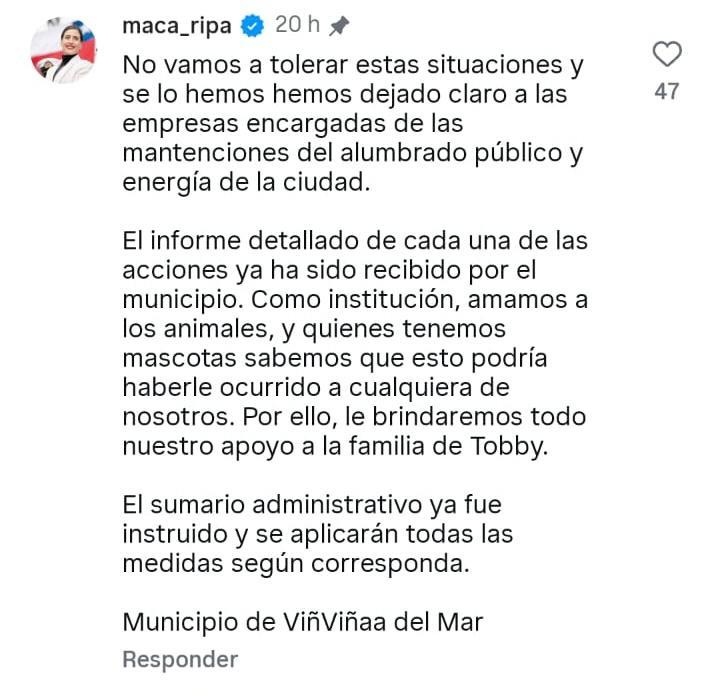 Respuesta de Macarena Ripamonti por perrito electrocutado en Viña del Mar - Redes Sociales