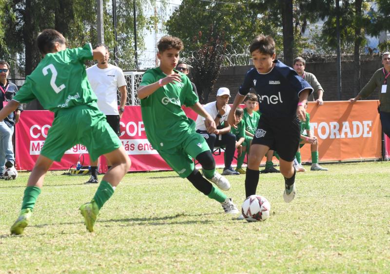 Gentileza - Copa Enel