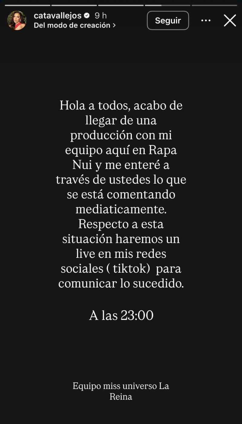 Instagram - Catalina Vallejos