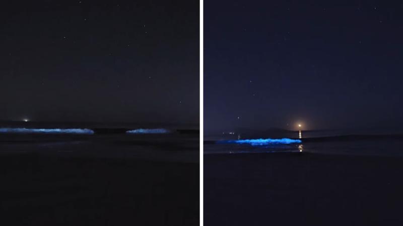 Astrofotógrafo sorprende con registros de la bioluminiscencia - TikTok