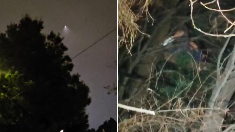 Sujeto arriba del árbol - Imágenes de Carabineros