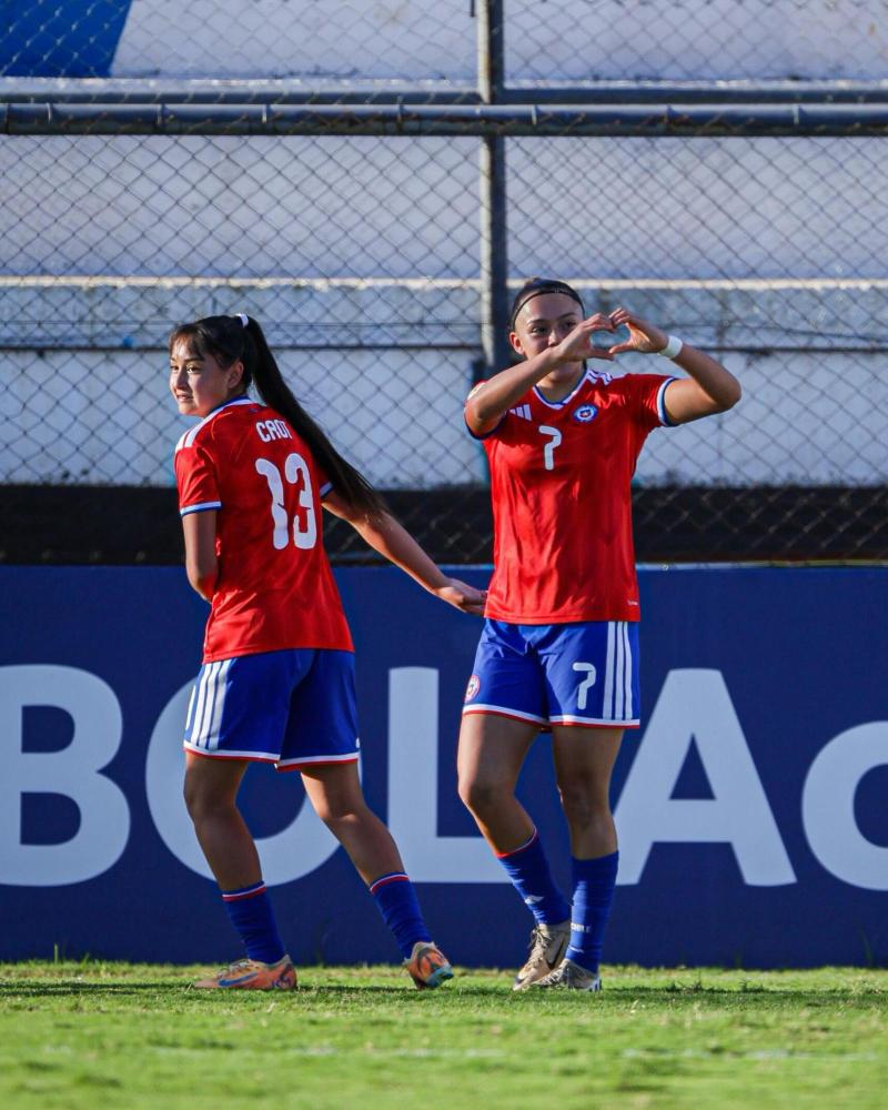 Facebook - Selección Chilena