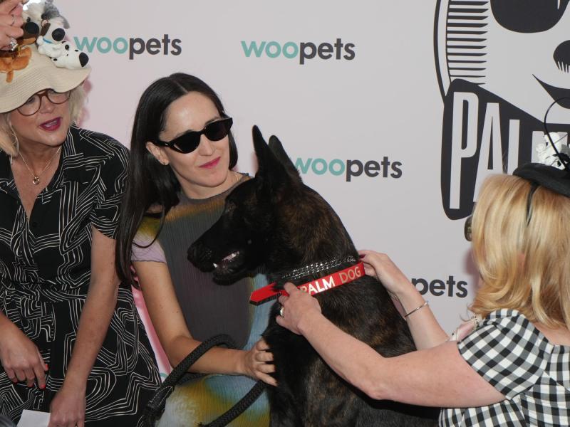 Palmdog.com - Perrita chilena triunfa en Cannes
