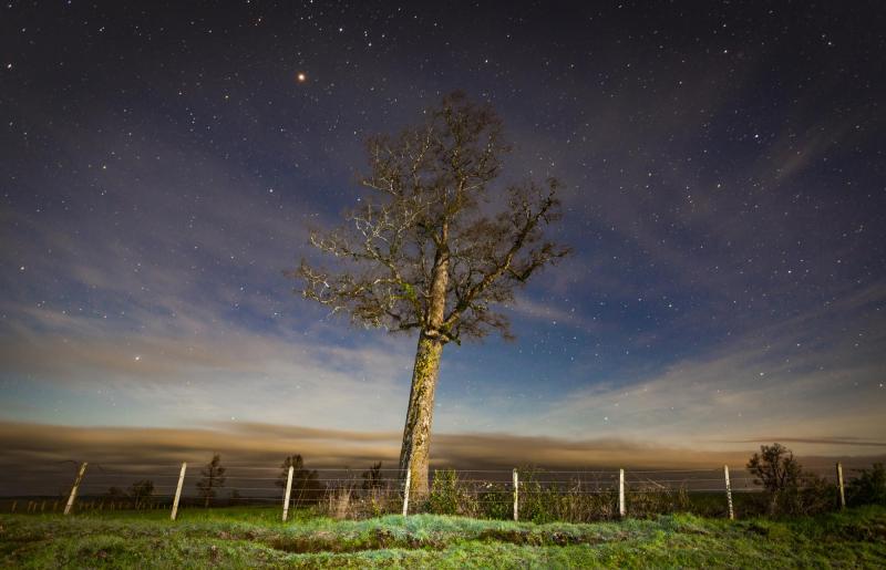 Agencia Uno - Cielo estrellado