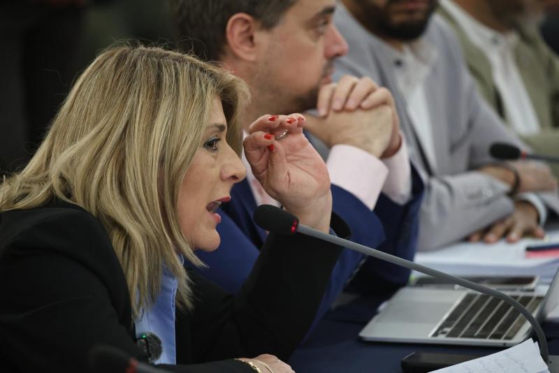 Aton - Ley de Reconstrucción Nacional: las 130 indicaciones ingresadas por la diputada Zandra Parisi