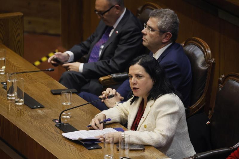Aton- Steinert en sesión especial en la Cámara