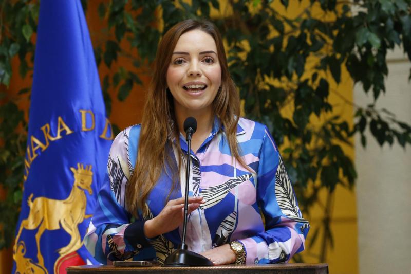 Aton- Senadora Camila Flores (RN)