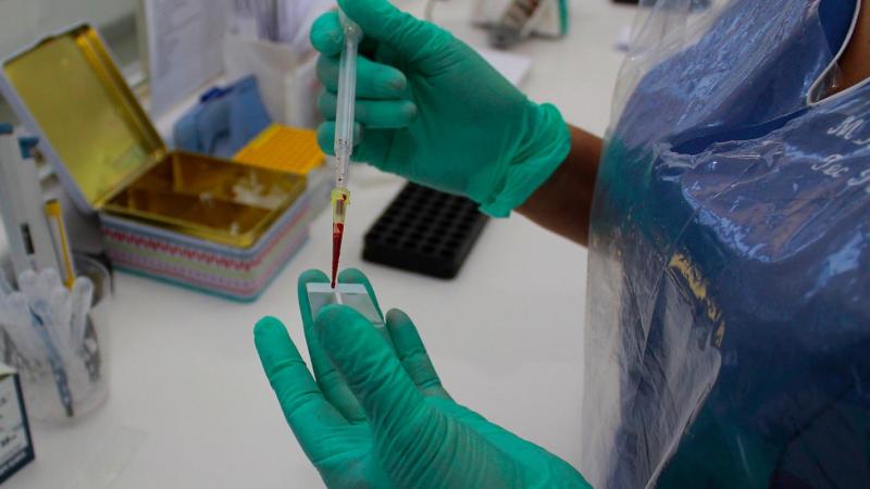 Agencia Uno - Influencer relata crisis desde crucero varado tras muertes por posible hantavirus