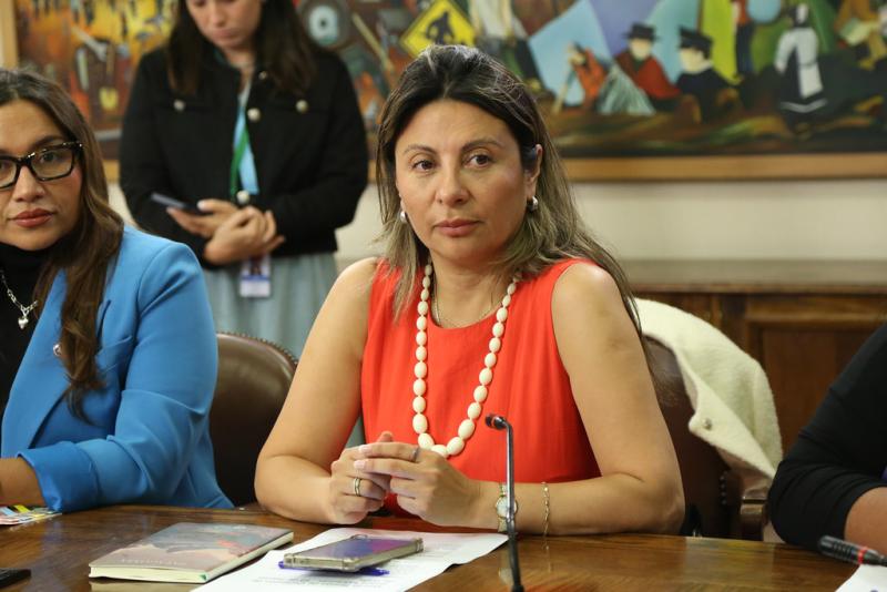 UDI - Alejandra Valdebenito