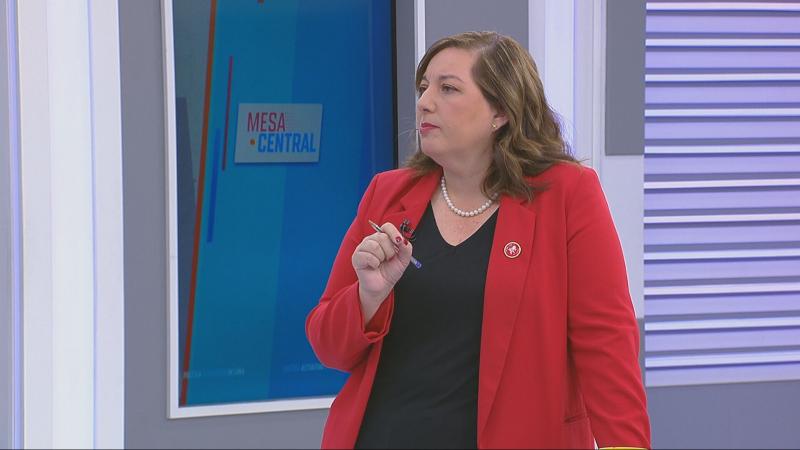 Senadora Paulina Vodanovic (PS) en Mesa Central