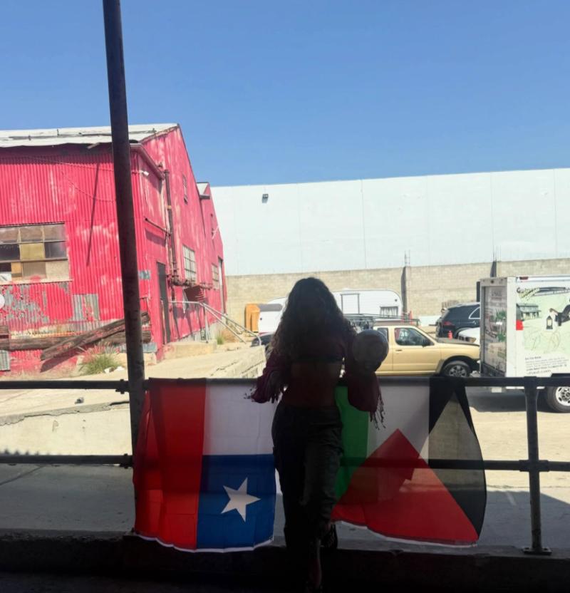 Elyanna junto a las banderas de Chile y Palestina - IG