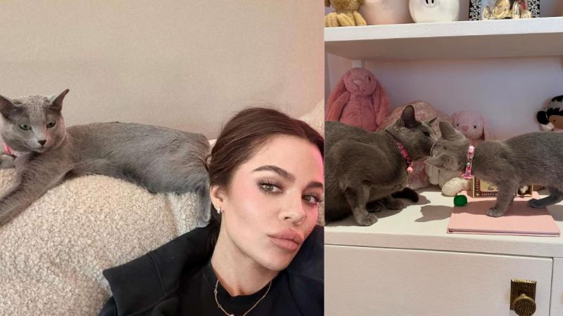 Khloé Kardashian extirpó las garras de sus gatos - Instagram