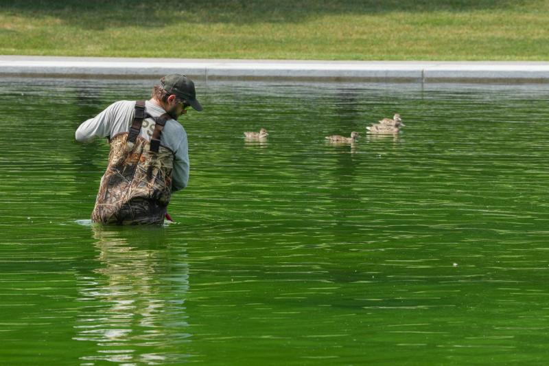 Trabajadores limpian el monumento "Reflecting Pool" - AFP