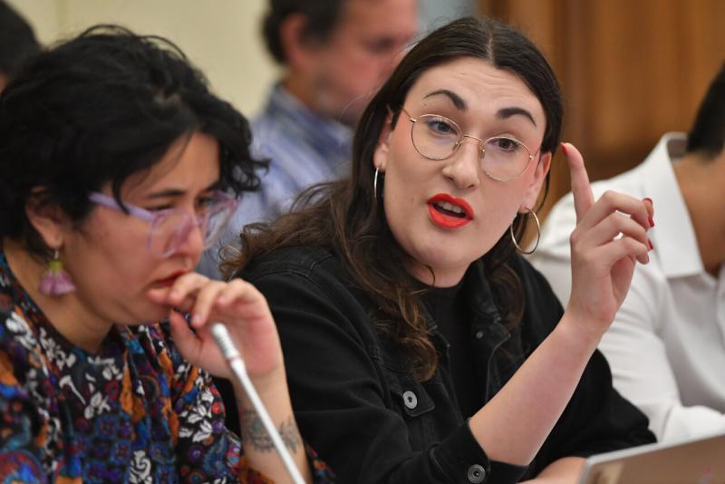 Diputada Emilia Schneider explica oficio por embargos a deudores del CAE - AUNO