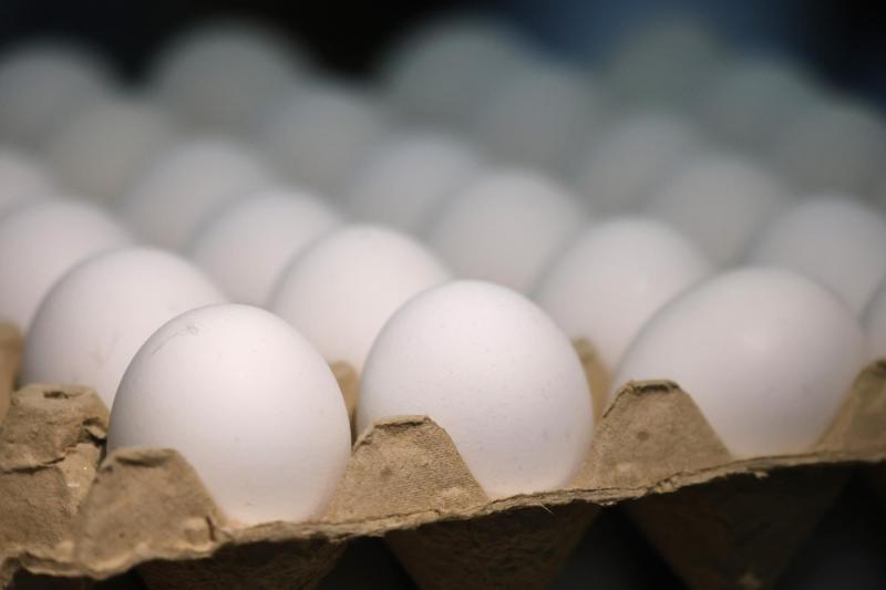 Sernac aclara que concepto de huevos de "gallinas felices" es ilegal - Aton