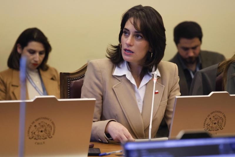 Aton- María Jesús Wulf, ministra de Desarrollo Social