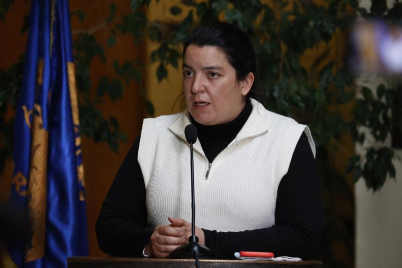 Aton- Diputada Romero (UDI) destacó la necesidad de sumar "agentes externos"