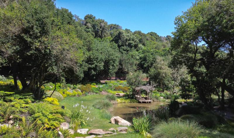 Parque Tricao - Humedal Giverny, un imperdible en vacaciones de invierno