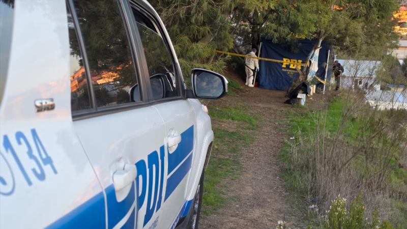 PDI - Los detalles del homicidio de adolescente de 17 años en Putaendo: crimen habría sido planeado por un padre y su hijo