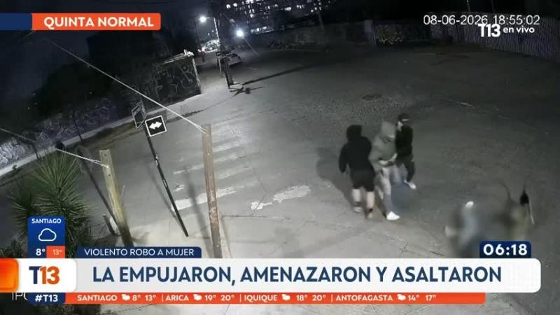 Captan violento asalto contra mujer que paseaba a su perro: Tres delincuentes la abordaron por la espalda | T13