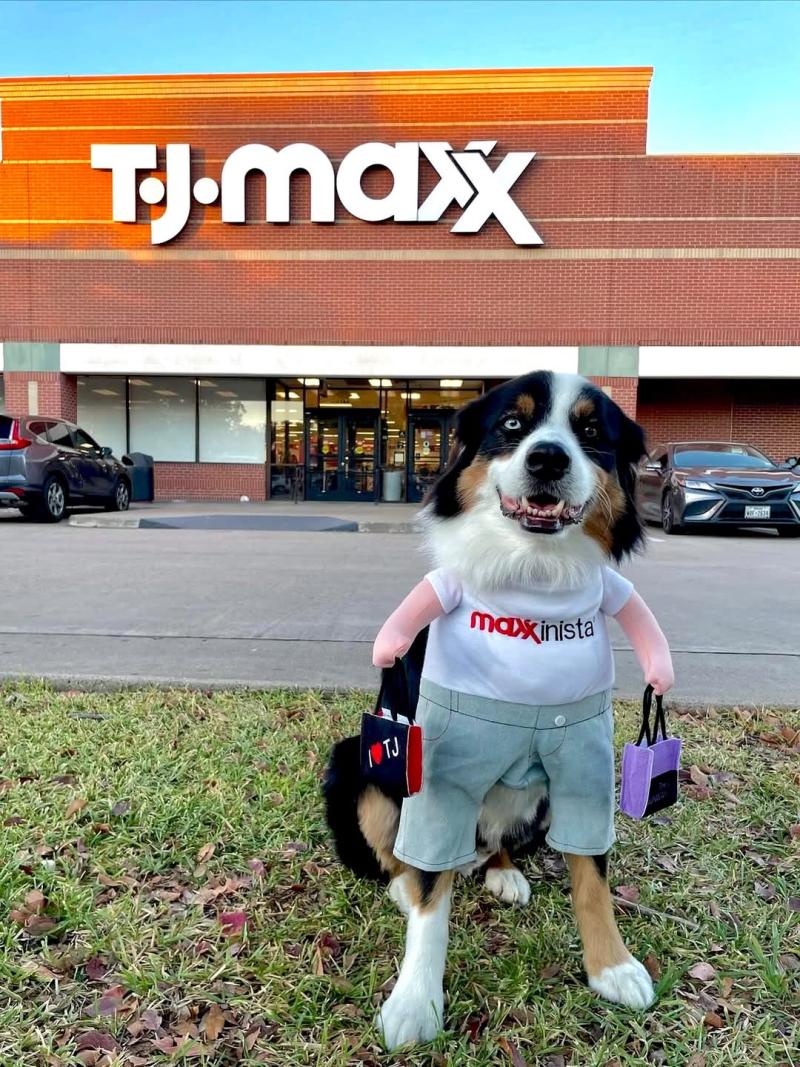 Instagram @tjmaxx