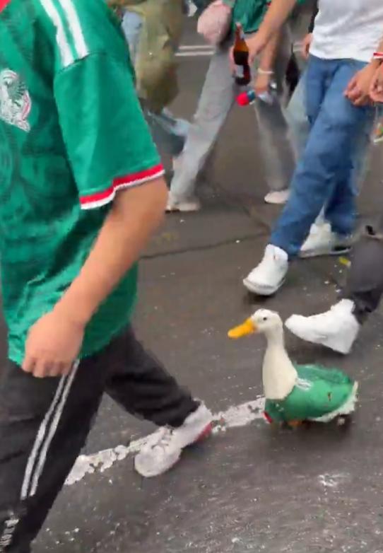 Pato se hace viral por apoyar a México - X @AlertaMundoNews