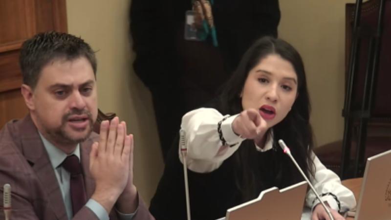 Comisión terminó en insultos entre diputada Veloso y Karlezi - Cámara de Diputados