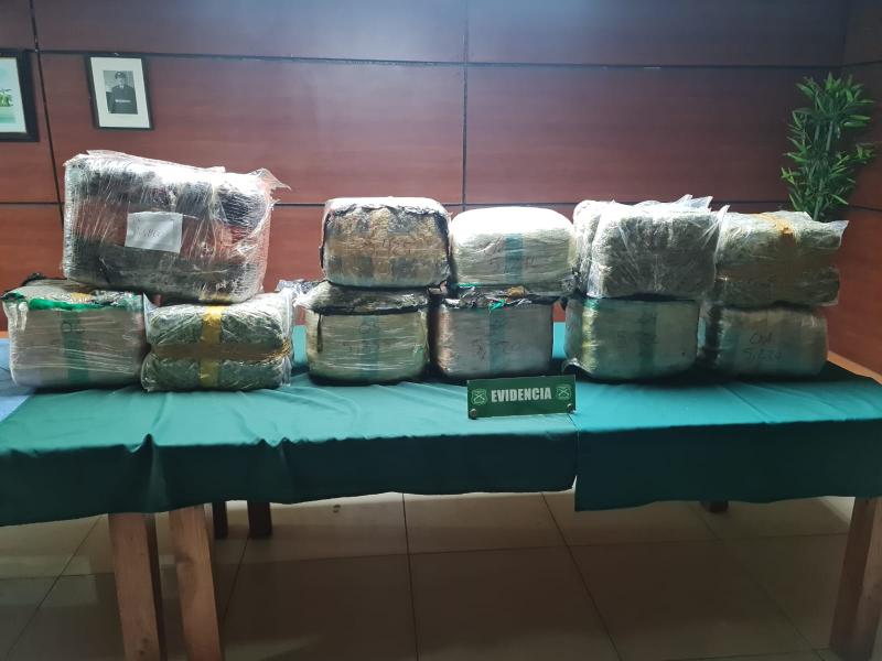 Conductor pasó una luz roja y le descubrieron más de 63 kilos de marihuana en su furgón