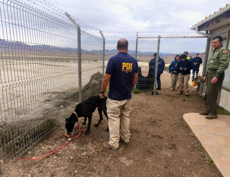 PDI - Se rescató a un perro en Alto del Carmen