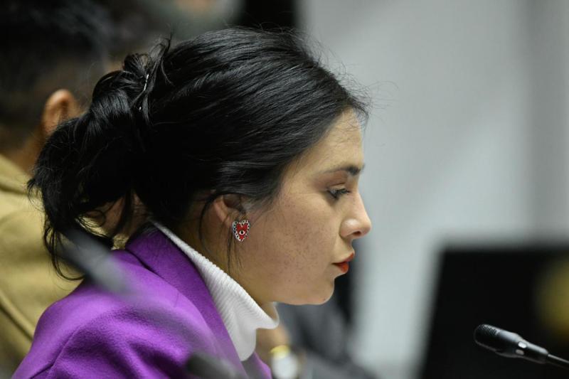 La senadora Karol Cariola realizó gestiones con la entonces alcaldesa de Santiago Irací Hassler para que recibiera al empresario Carlos Frings, quien le presentaría algunos proyectos.