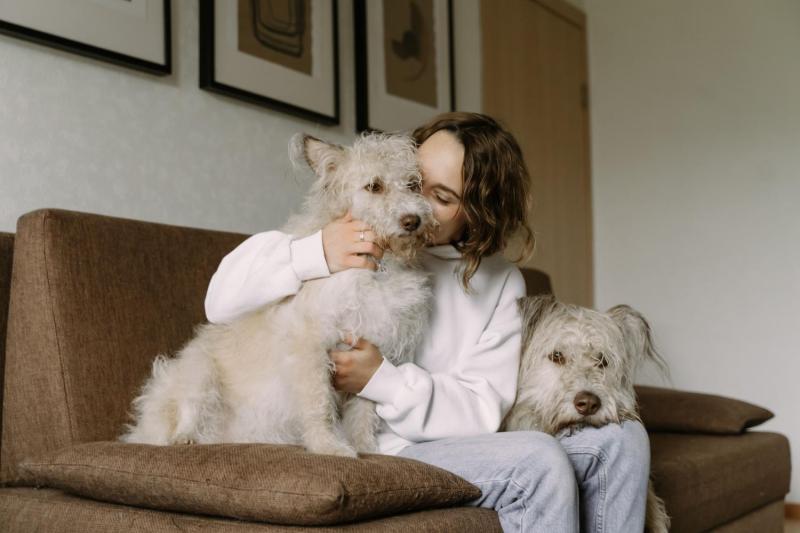 Pexels - Alimentos que tu perro o gato no debería comer