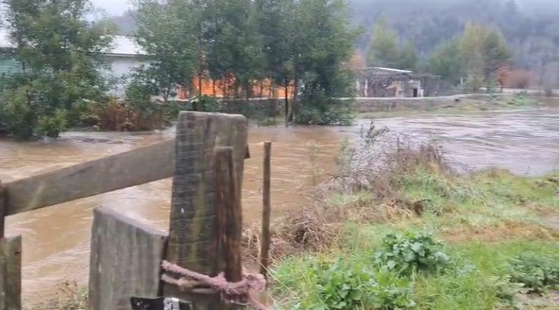 Alerta Roja en Arauco: activan mensajería SAE preventiva por riesgo de desborde del río Pichilo