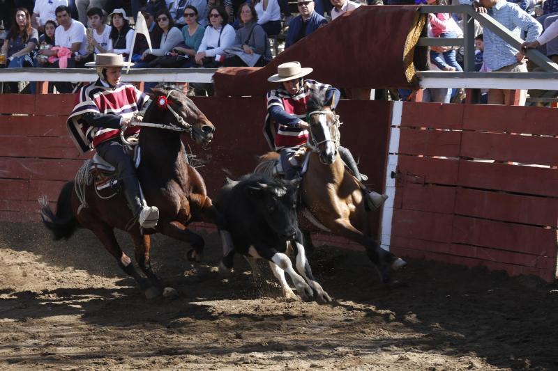 Agencia Uno - Agencia Uno (Referencial) - Gobierno aprobó proyecto de más de $160 millones para construcción de medialuna para rodeo en Quirihue