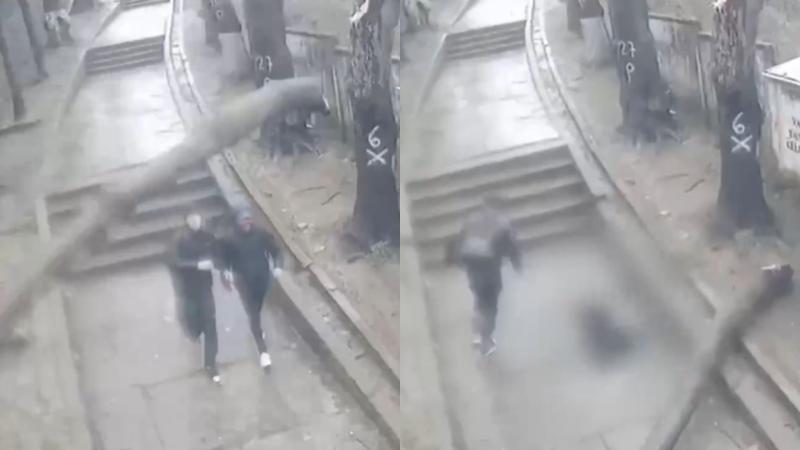 T13 - Adolescente resultó herido tras caída de árbol sobre su cabeza en Lota en medio de sistema frontal