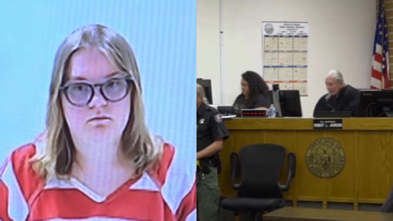 Idaho TV News - Acusan a mujer de asesinar a sus hijos gemelos en EE.UU.: durante un pódcast culpó a las vacunas por la muerte de ambos