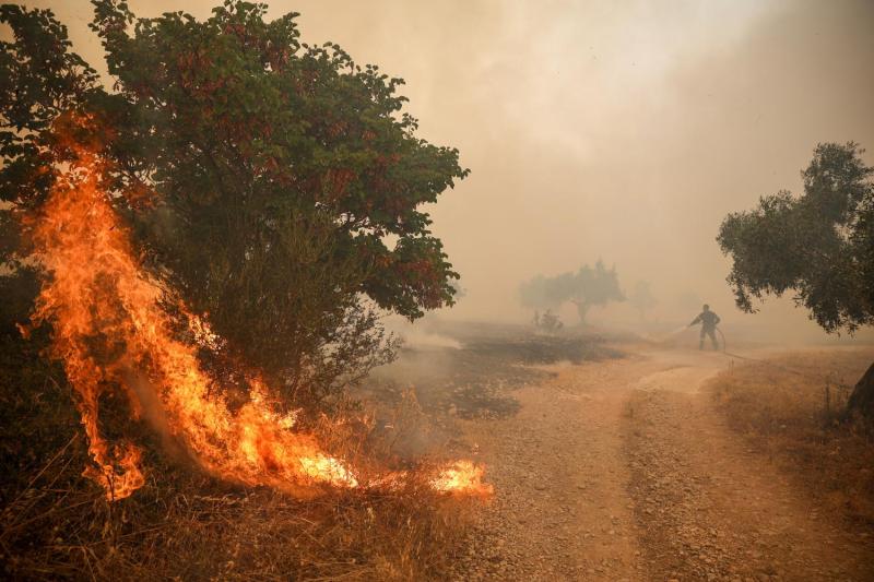 AFP - Incendios forestales en Grecia