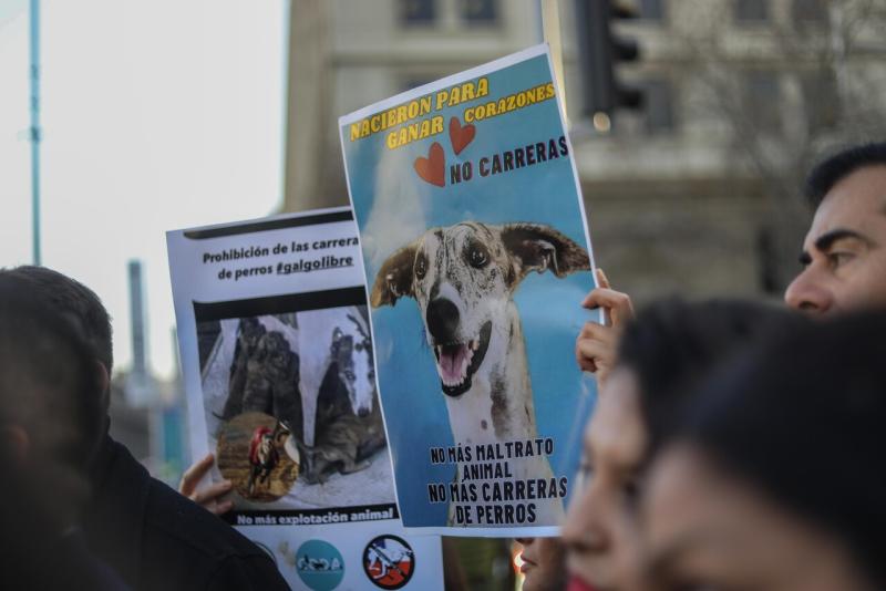 Agencia Uno (archivo) - Manifestaciones por prohibición de carreras de galgos