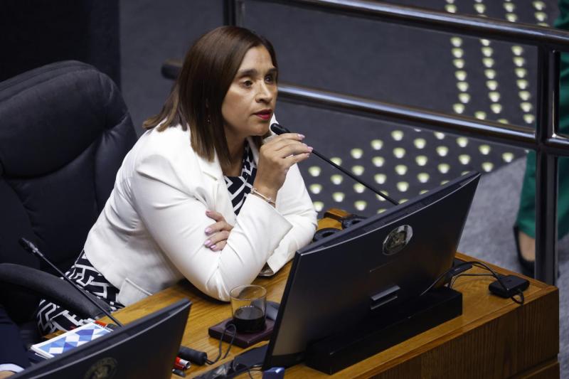 Aton- Senadora Fabiola Campillai