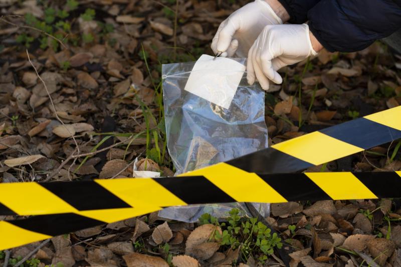 Freepik - Desafueran a alcalde sospechoso de asesinato de reportera en México
