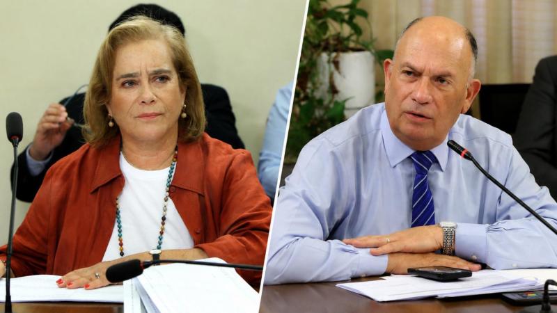 Diputados UDI, Flor Weisse y Sergio Bobadilla