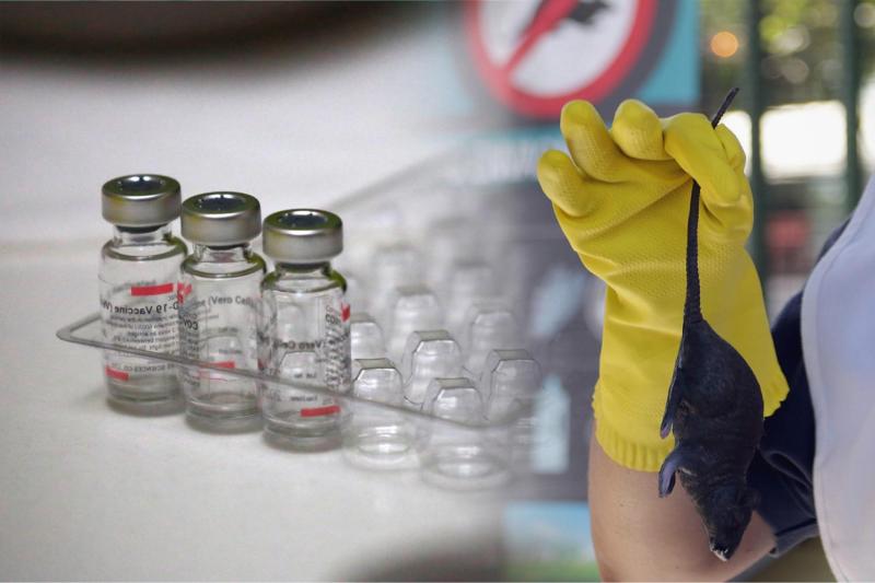 Agencia Uno - Hantavirus