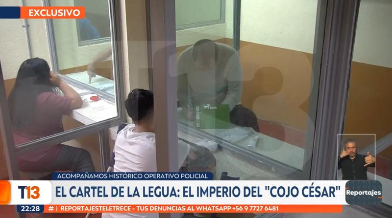 Reportajes teletrece