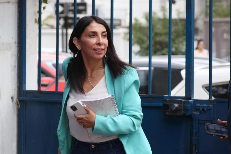 Karla Rubilar defiende reforma de seguridad con reparos al estado de excepción - Aton